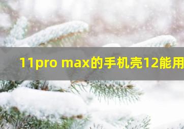 11pro max的手机壳12能用吗